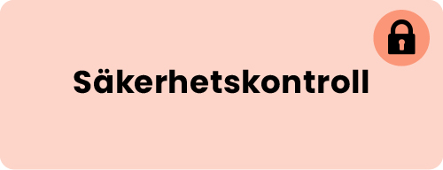 säkerhetskontroll